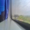 i_am_alex1314