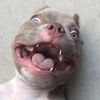 rathebully