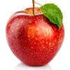 apple1_apple