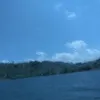 likingp2