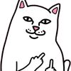 photobearsam