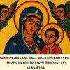 bereket4977
