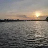 bnh.thng79