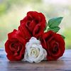 shani.shani4431