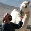 abosaif_302