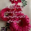 shayanff15