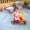 gia_linh_ne_tr