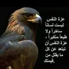 dy5bjivh8icz