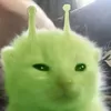 _im.alien