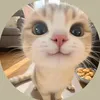 piupiuqui