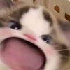 bb_yu07
