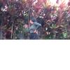 fgely3