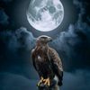 emad_emoo