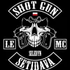 seledyn1
