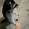 jp_junior77