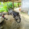 bayukencot2