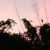 hihe_66