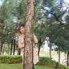 nguyenthimai285