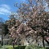 simran_2126