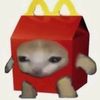 sodaw_