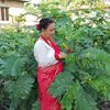 binitasabanthapa