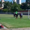 lucasoleaogalatico