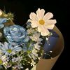 fathima_abdoolrahman