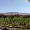 agro_lover
