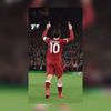_continho10