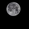 brayan_morales69
