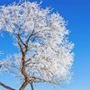 nataliia_8974