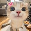 kholoud_khaled10