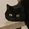 alexhartmann777