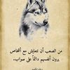 amirmiro481