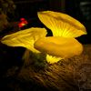 floramycena