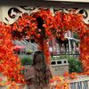 maple_girly_vibe