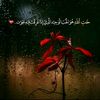 nouramohmed7701