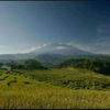 ghazali_asep84