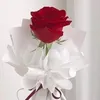 user3660455040244