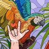 parrotfayerail4