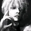 cz.akira