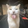 carlosvl_1510