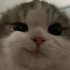 usertpb3694h9f