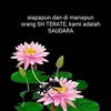 joerafael265