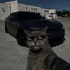 shnoda_edwar