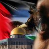 rabeealkoumyembab