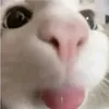 k_marinov12