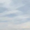 thanhduy3410