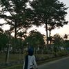 _tsyndr3