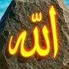 zahrakhan0007